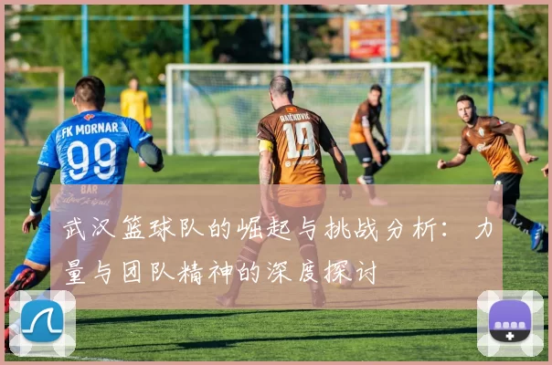 武汉篮球队的崛起与挑战分析：力量与团队精神的深度探讨