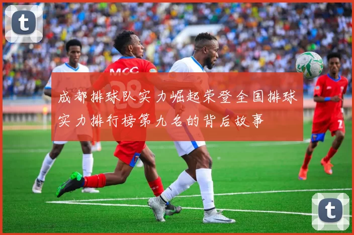 成都排球队实力崛起荣登全国排球实力排行榜第九名的背后故事
