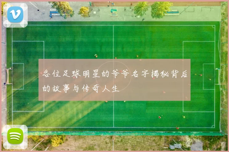 各位足球明星的爷爷名字揭秘背后的故事与传奇人生