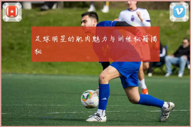 足球明星的肌肉魅力与训练秘籍揭秘