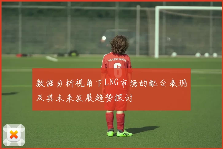 数据分析视角下LNG市场的配合表现及其未来发展趋势探讨