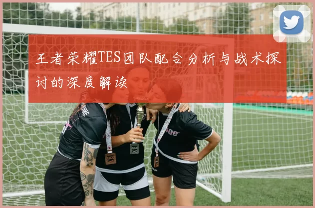 王者荣耀TES团队配合分析与战术探讨的深度解读