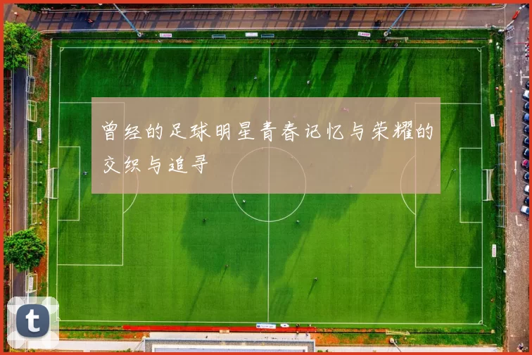 曾经的足球明星青春记忆与荣耀的交织与追寻