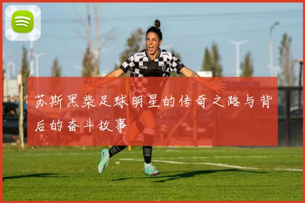 苏斯黑柴足球明星的传奇之路与背后的奋斗故事