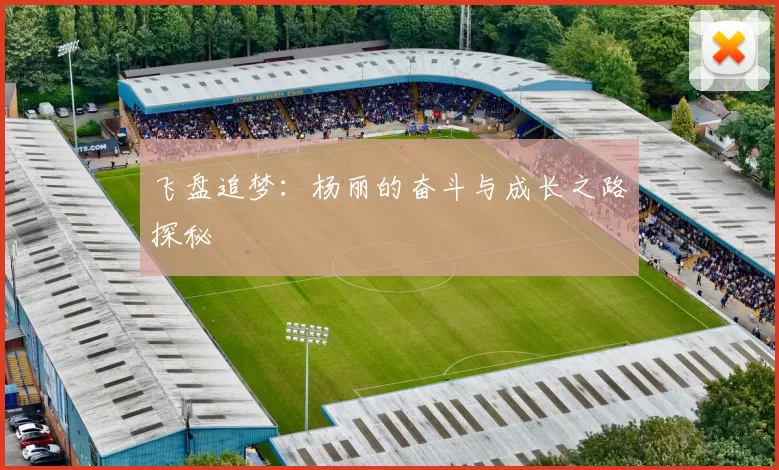 飞盘追梦：杨丽的奋斗与成长之路探秘
