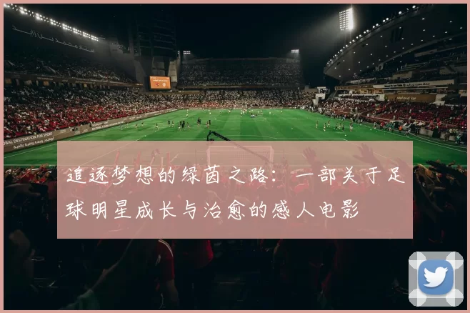 追逐梦想的绿茵之路：一部关于足球明星成长与治愈的感人电影