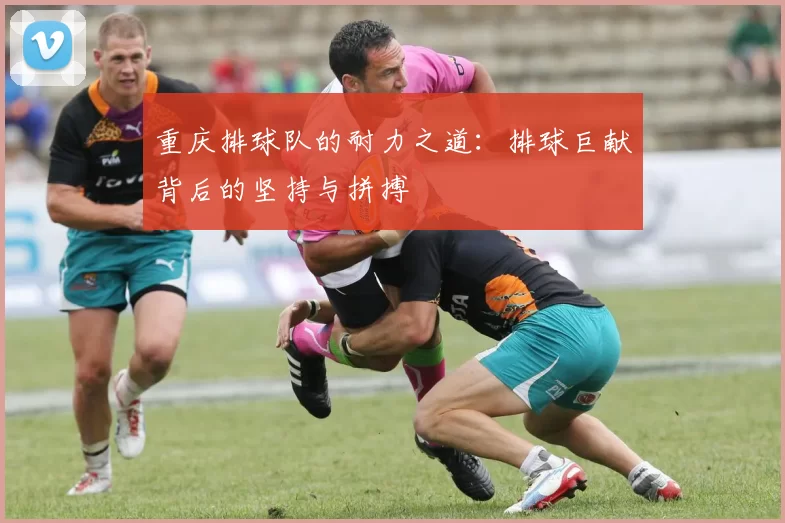 重庆排球队的耐力之道：排球巨献背后的坚持与拼搏