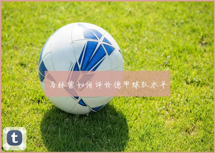马林曾如何评价德甲球队水平